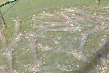 亚洲男人的天堂一区二区无码